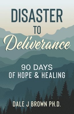 bokomslag Disaster to Deliverance: 90 Days of Hope & Healing