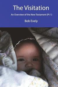 bokomslag Visitation, An Overview of the New Testament (Part 1)