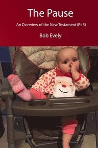 bokomslag Pause, An Overview of the New Testament (Pt 3)