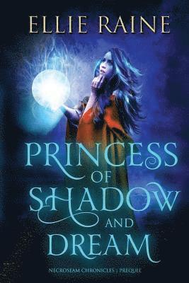 bokomslag Princess of Shadow and Dream