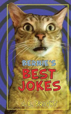 bokomslag Bernie's Best Jokes