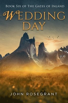 John Rosegrant - Wedding Day, Häftad