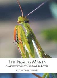 bokomslag The Praying Mantis