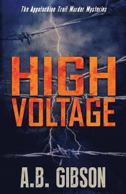 bokomslag High Voltage