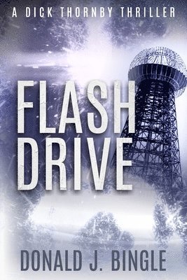 Donald J Bingle - Flash Drive, Häftad