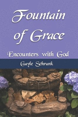Gayle Schrank - Fountain of Grace: Encounters with God, Häftad