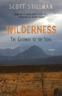 bokomslag Wilderness, The Gateway To The Soul