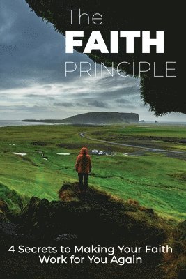 bokomslag Faith Principle