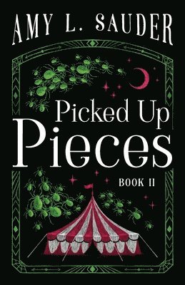 Amy L Sauder, Amy L. Sauder - Picked Up Pieces, Häftad