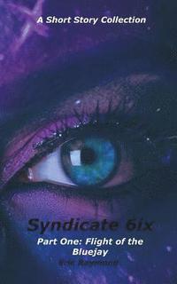 bokomslag Syndicate 6ix: Flight of the Bluejay