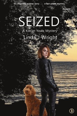 Seized: A Kieran Yeats Mystery 1