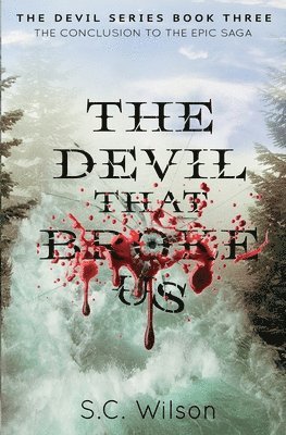 bokomslag Devil that Broke Us