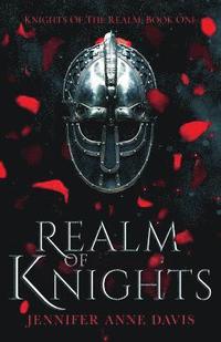 bokomslag Realm of Knights