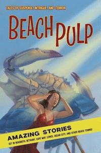 bokomslag Beach Pulp: Amazing Stories Set in Rehoboth, Bethany, Cape May, Lewes, Ocean City, and Other Beach Towns