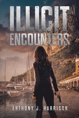 bokomslag Illicit Encounters