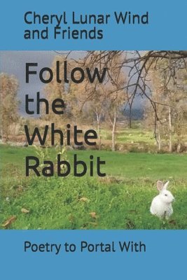 bokomslag Follow the White Rabbit