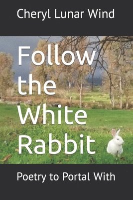 Follow the White Rabbit 1