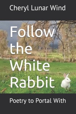 Follow the White Rabbit