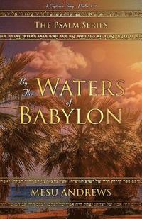 bokomslag By The Waters Of Babylon