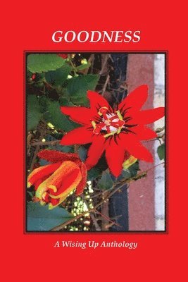 Charles D Brockett, Heather Tosteson - Goodness, A Wising Up Anthology, Häftad