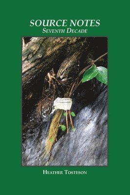 Heather Tosteson - Source Notes, Häftad