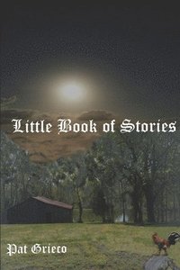 bokomslag Little Book of Stories