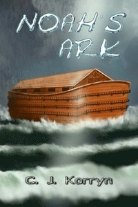 bokomslag Noah's Ark