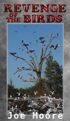 Revenge of the Birds