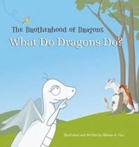 bokomslag What Do Dragons Do?