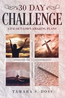 30 Day Challenge: Live Out God's Amazing Plans' 1