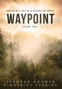 bokomslag Waypoint