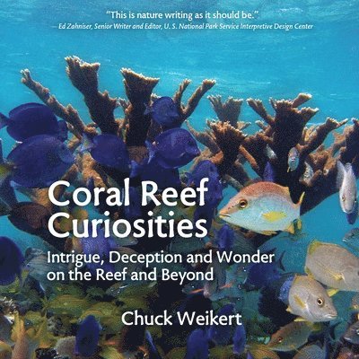 Coral Reef Curiosities: Intrigue, Deception and Wonder on the Reef and Beyond