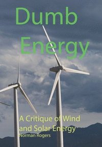 bokomslag Dumb Energy: A Critique of Wind and Solar Energy