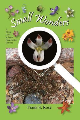 bokomslag Small Wonders