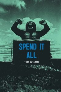 bokomslag Spend it All