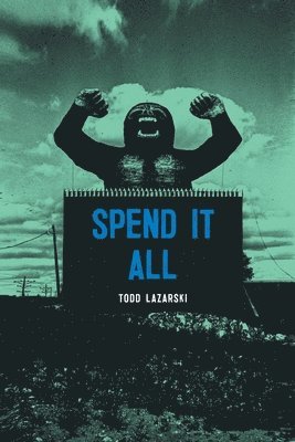 bokomslag Spend it All