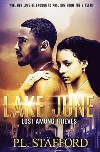 bokomslag Lake June: Lost Among Thieves