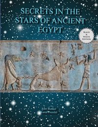 bokomslag Secrets in the stars of Ancient Egypt