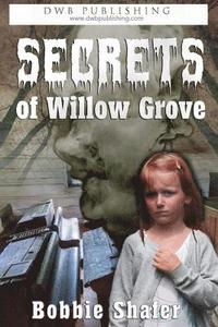 bokomslag Secrets of Willow Grove