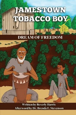 bokomslag Jamestown Tobacco Boy Dream of Freedom