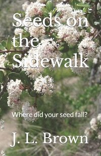 bokomslag Seeds on the Sidewalk