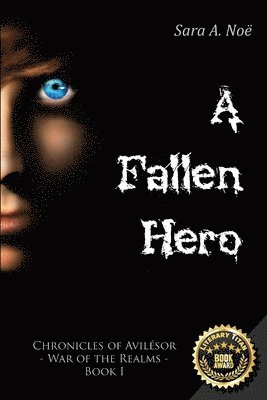 A Fallen Hero 1