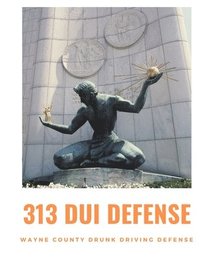 bokomslag 313 DUI Defense: Wayne County Drunk Driving Defense