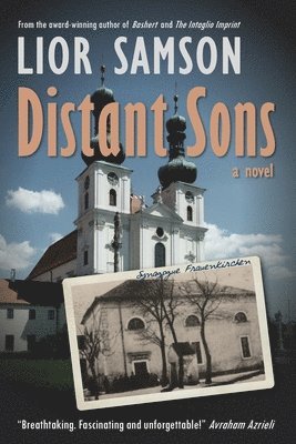 bokomslag Distant Sons