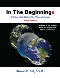 bokomslag In The Beginnings: A Defense of the Biblical Gap Theory of Creation