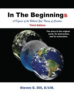 bokomslag In The Beginnings