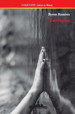 Entropías 1