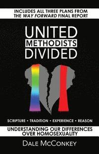 bokomslag United Methodists Divided: Understanding Our Differences Over Homosexuality