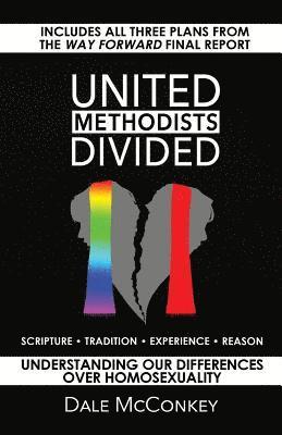 bokomslag United Methodists Divided: Understanding Our Differences Over Homosexuality