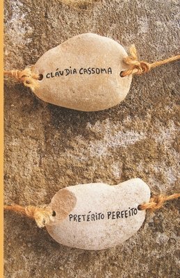 bokomslag Preterito Perfeito